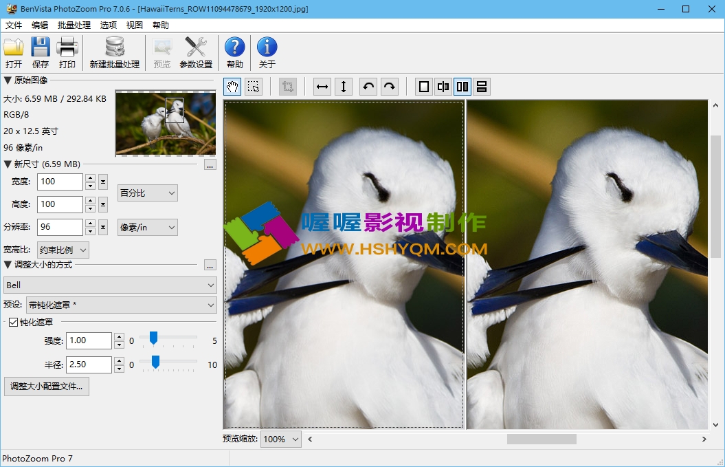 PhotoZoom Pro v7.0.6 رⰲװ
