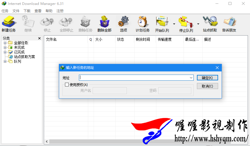  Internet Download Manager 6.31.3.3