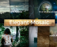 RِЧƬ^ Elegant Mosaic Opener