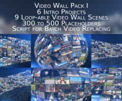 ҕĿb Pack I Video Wall Pack I