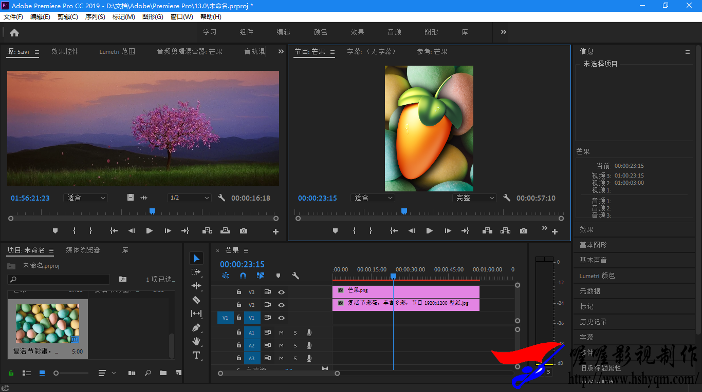Adobe Premiere Pro CC 2019(13.0.0.225)